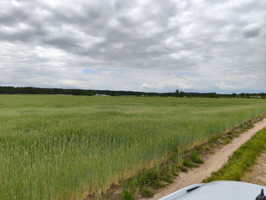 Ziemia rolna 4.08 hektary, działka rolna