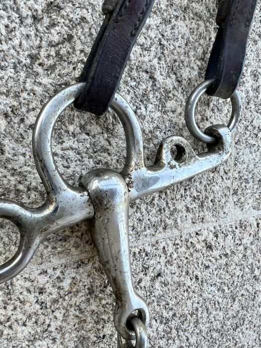 Cilha e bridão  para cavalo