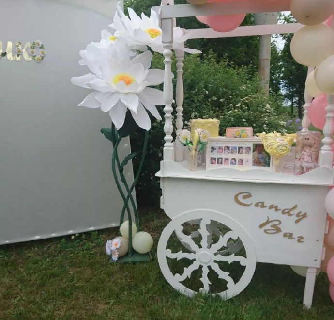 Ростові квіти для декору