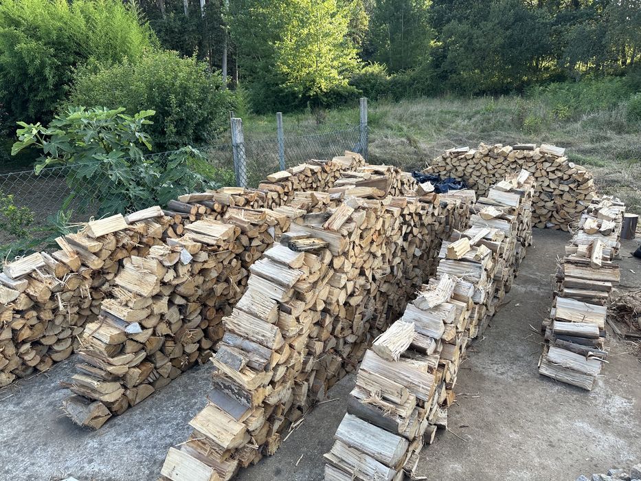 Lenha eucalipto seca