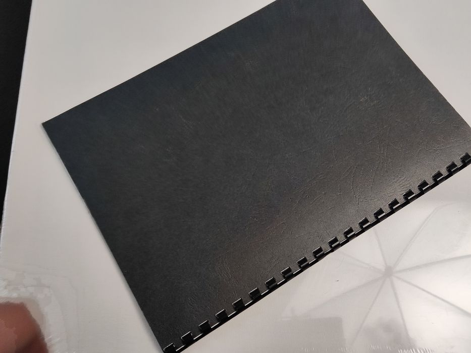 Skrypt/Fragmenty książki ''Niejaka Mulatka"'