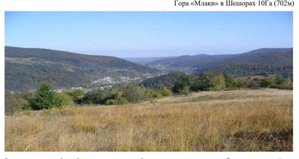 Продаю унікальну ділянку в Шешорах. 910 соток