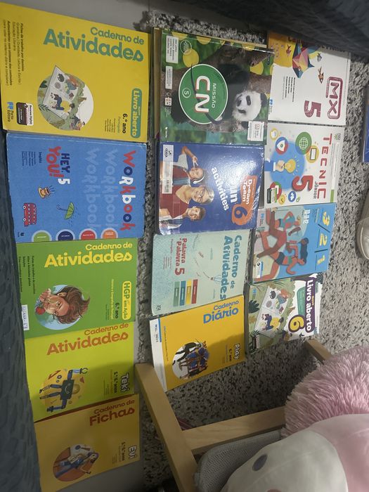 Livros escolares 5 e 6 ano