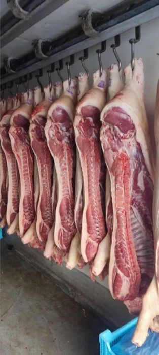 Продаю свинячі півтори. Свіже м'ясо