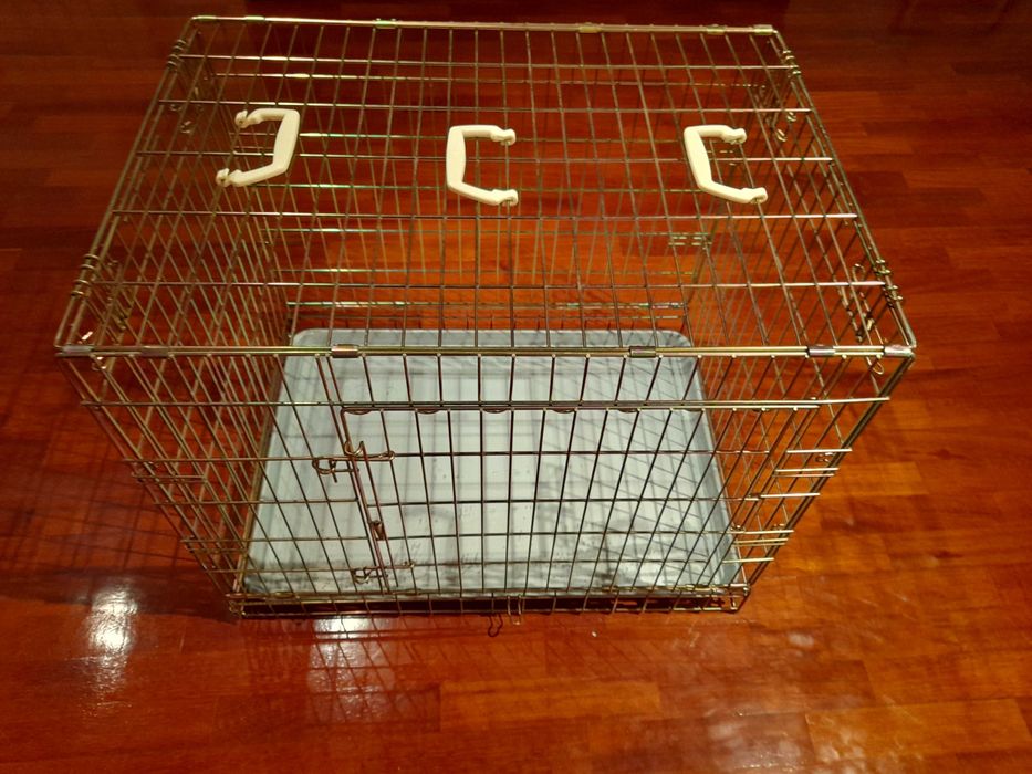 Parque , jaula galvanizada cão