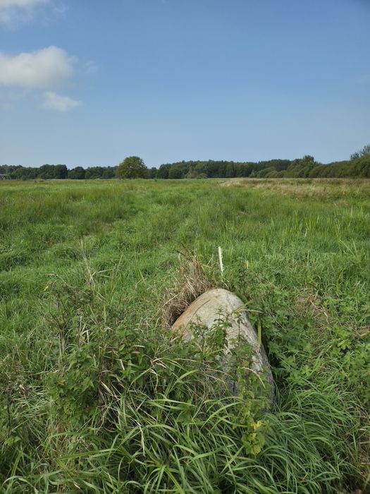 Łeba okolice działki budowlane na sprzedaż - Widok 5
