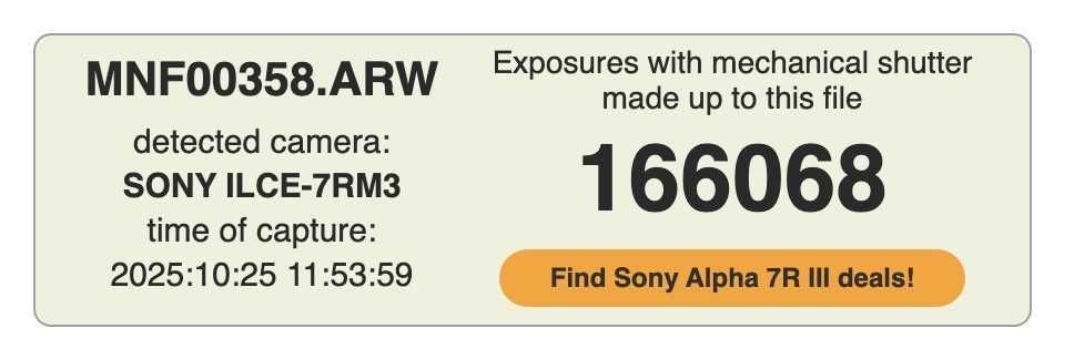 Aparat Sony Alpha 7 R III (A7R3) przeb 166k stan bdb minus