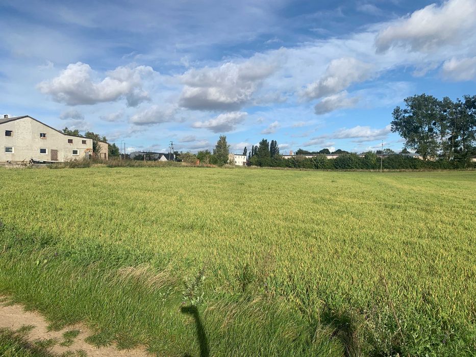 DZIAŁKA 1677 m² | WZ | DOM DO 270 m² + BUD. GOSP. 80 m² | TURZE - Widok 3