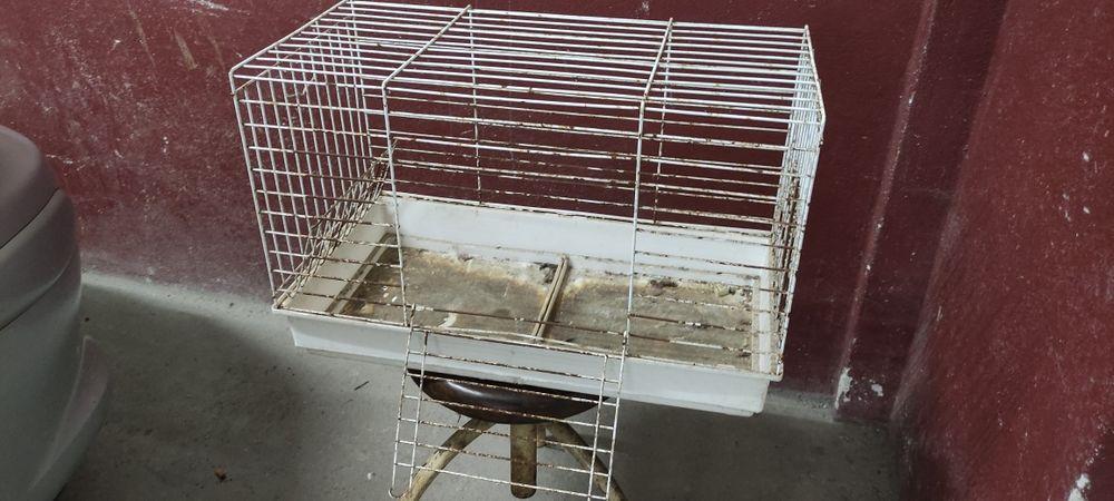 Gaiola grande branca