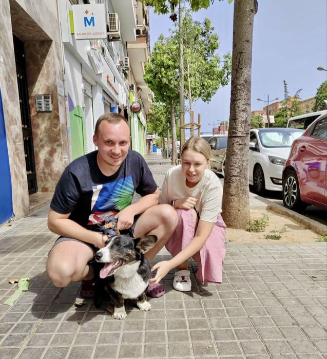 Доставка животных заграницу. Перевозка в Європу. Доставка тварин.