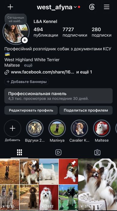 Бронювання дівчинки папільйона