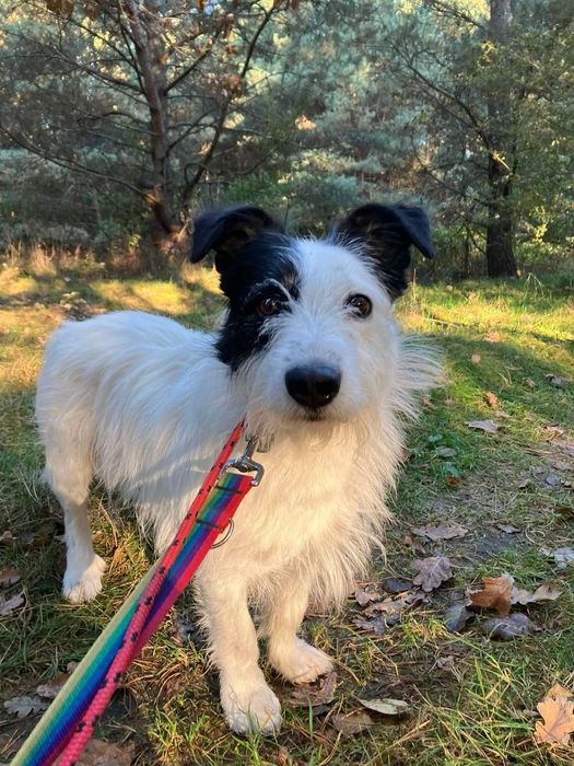 Gero wypatruje kochającej rodzinki