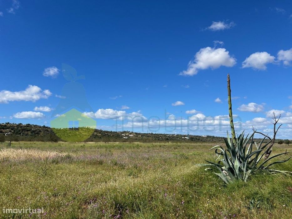 Terreo Rústico Plano Na Várzea De Tunes Ideal Para Paineis Solares