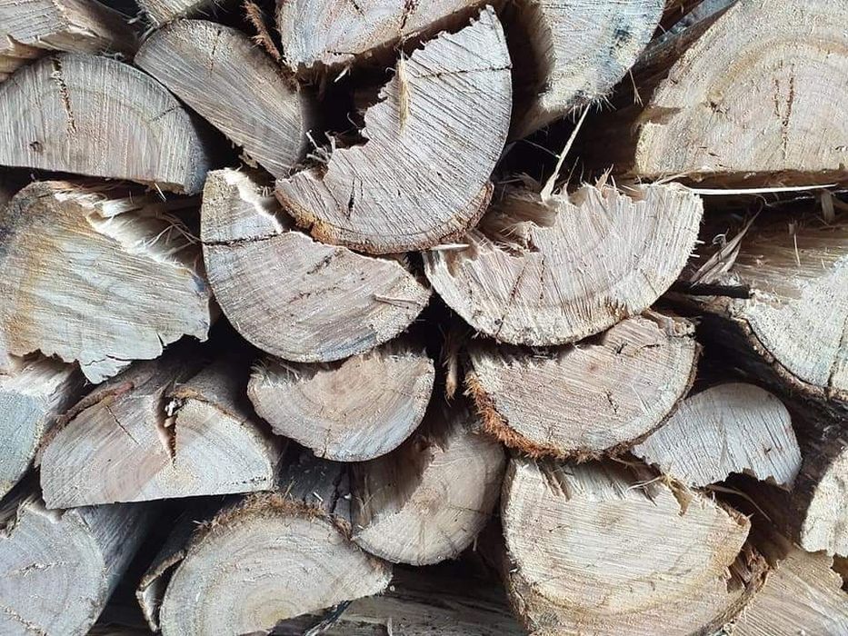 Lenha Seca Eucalipto/Pinho