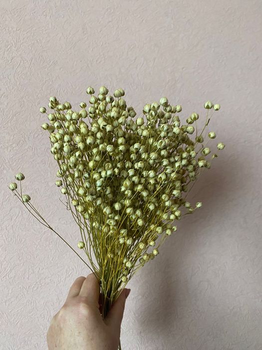 Колоски пшениця Жизель, льон