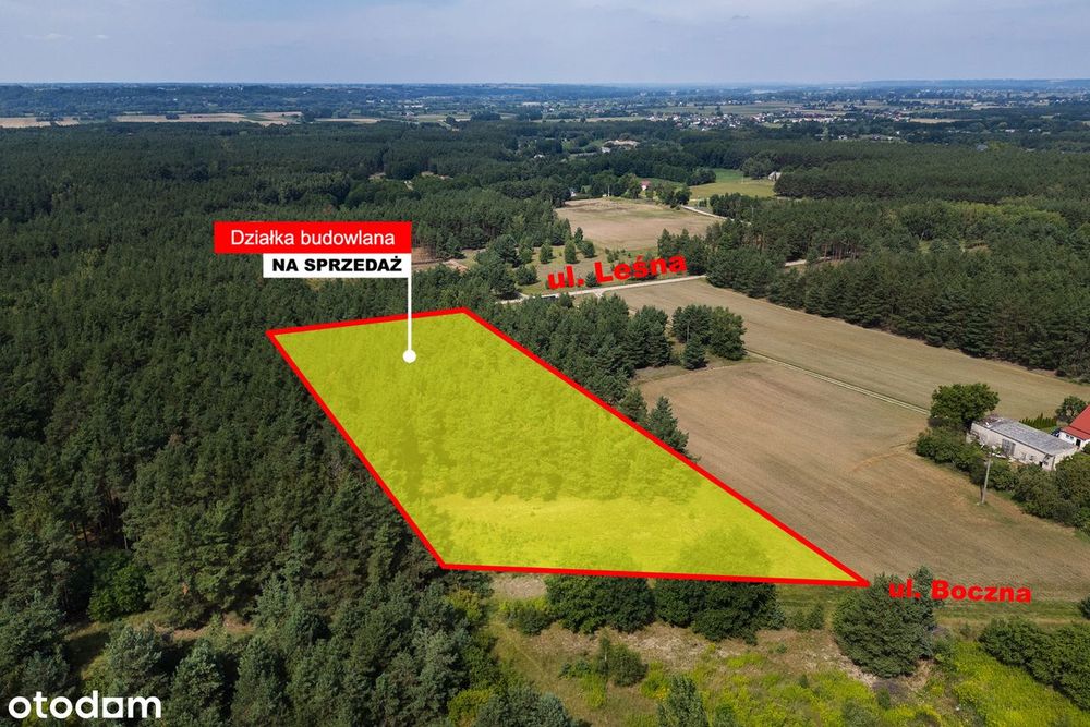 Duża działka budowlana z własnym lasem | 1,4 ha | WZ