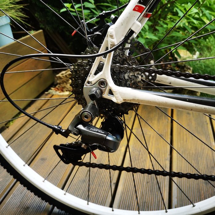 Rower Accent CX ONE 54