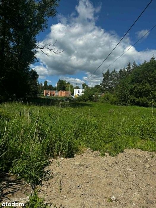Zdjęcie 8