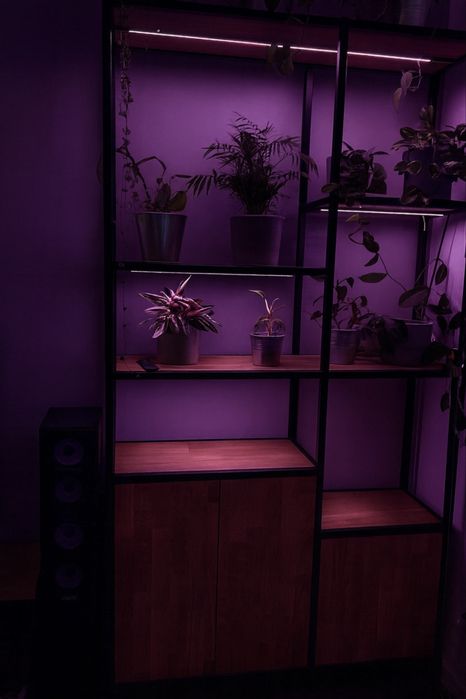 Regał z oswietleniem dla roślin, stolik, szafka RTV lite drewno dębowe