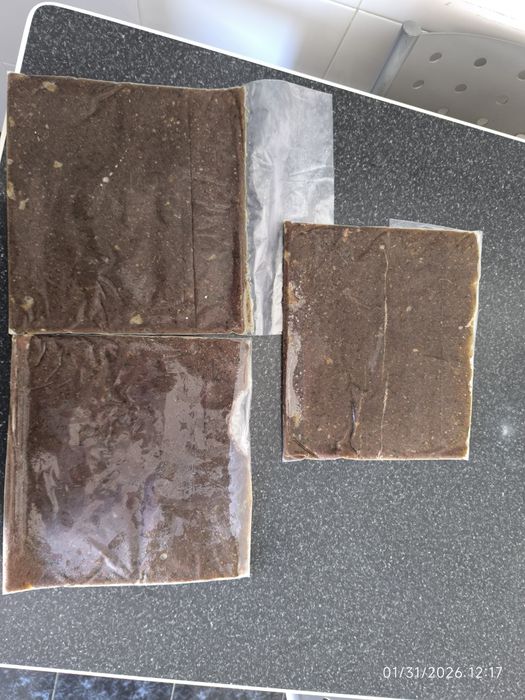 Comida congelada caseira peixes aquário