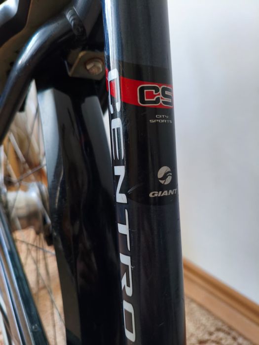 Giant Centro CS Rower