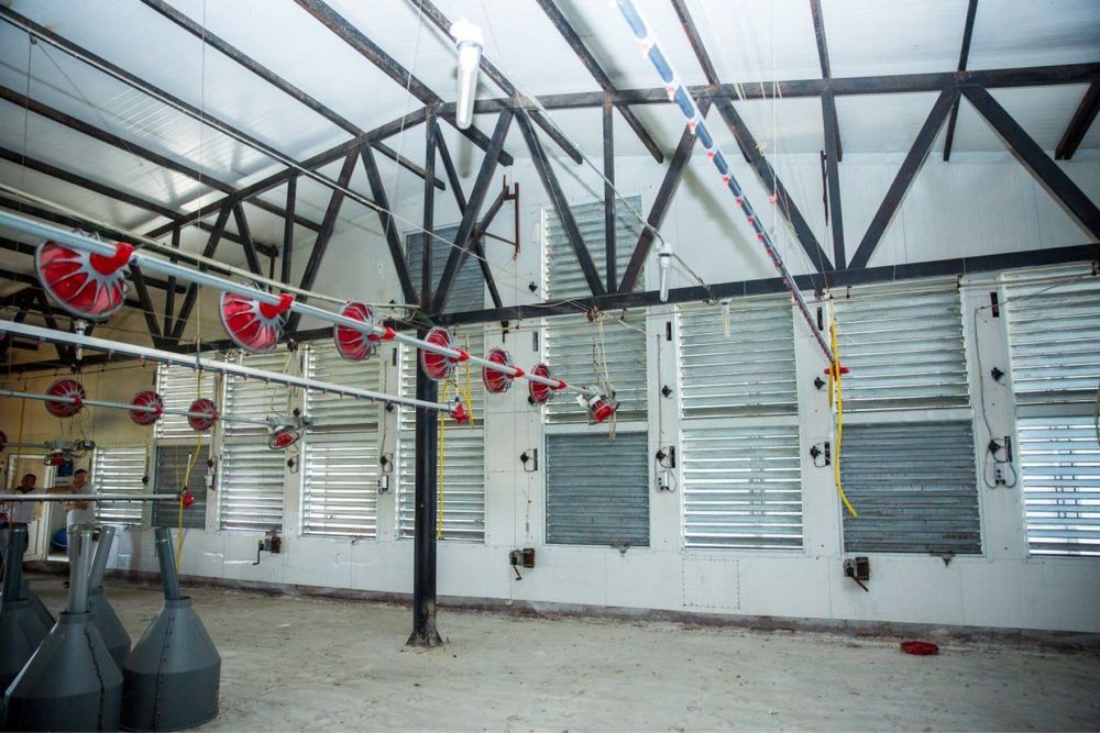 Комерційна нерухомість за адресою вул. Капеланська (площа 40000 м²) - Atlanta.ua - фото 18