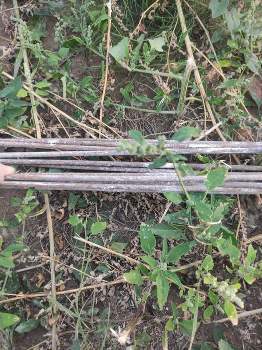 12 szt pręt gładki  4mm długość około 6,5 m