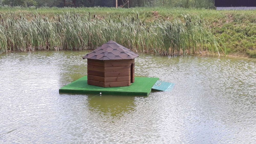 Будиночок плаваючий для качок