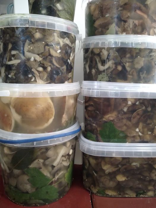 Гриби мариновані, вареня чорниці ,сушені та квашені . Гриби — купити