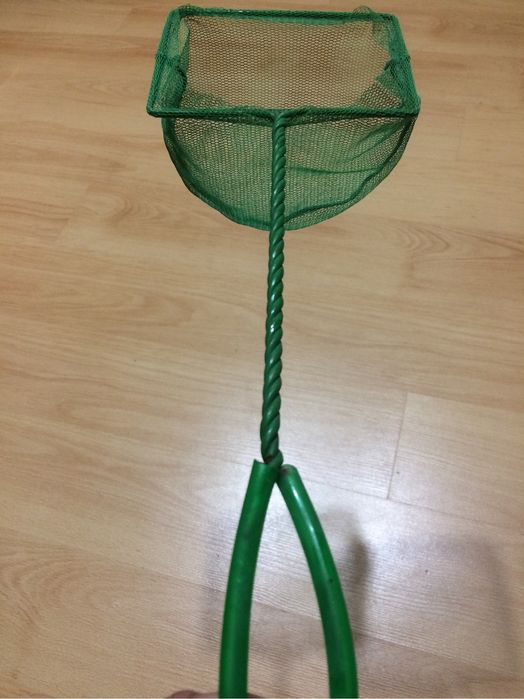 Guelrito para aquario