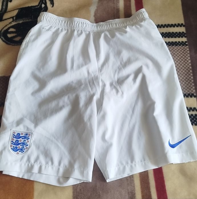 Чоловічі шорти Nike Dri-fit оригінал