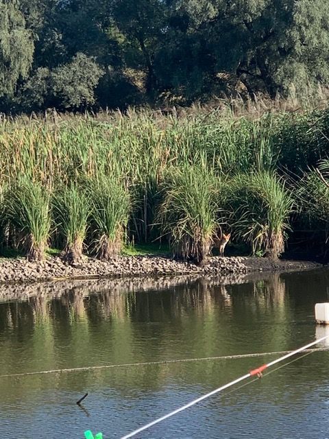 Здається будинок дуплекс (2 апартаменти ) в аренду на уикенды