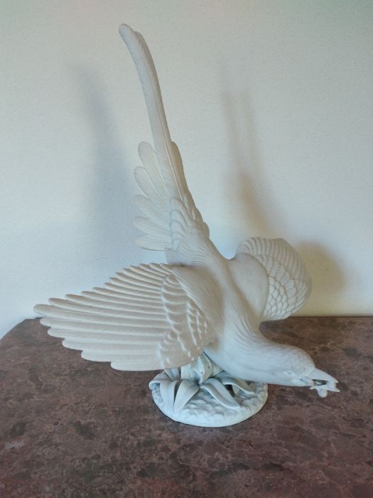 Pássaro Azul da China, Vista Alegre