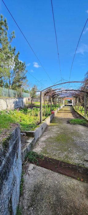 Vende-se casa, Cousso Melgaço