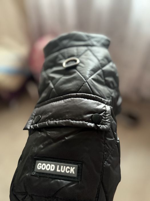 Продам зимний костюм на собачку