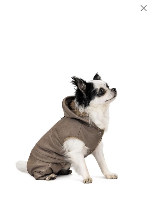 Костюм для собак