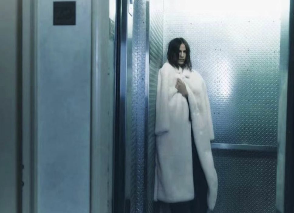 Довга шуба з штучного хутра zara