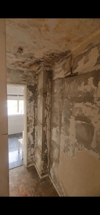 Pintura Remodelação Jardinagem