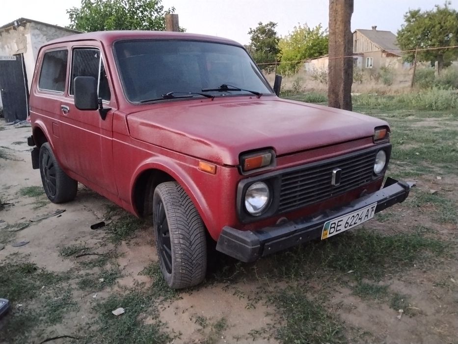 В продаже нивасик