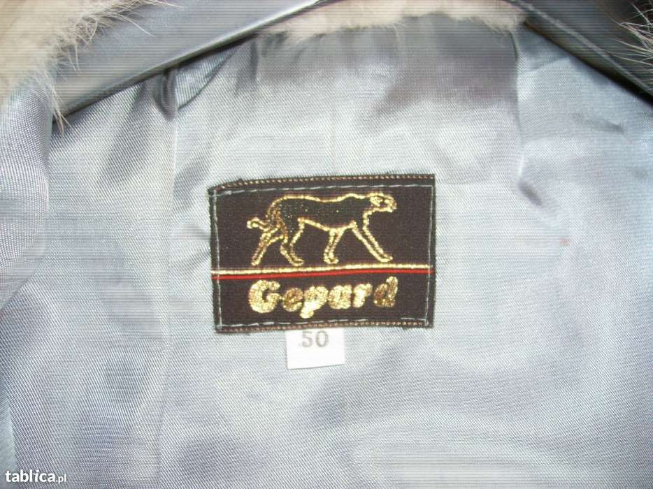 Futro z lisa srebrnego