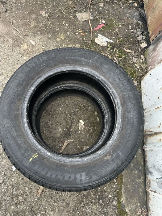 Резина Barum 195/65 R15