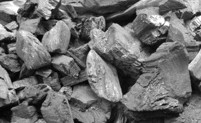 Carvão Vegetal - CV