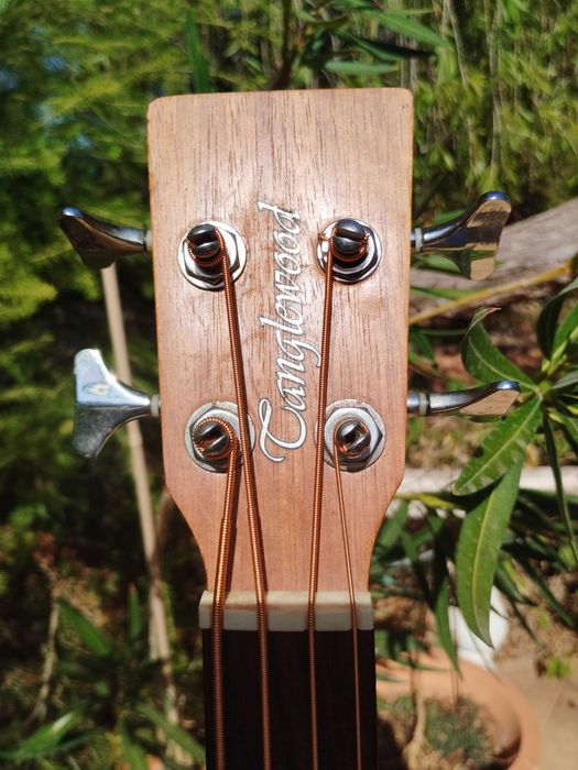 TANGLEWOOD TWR-AB Acoustic Electric Bass Guitar / Guitarra Baixo