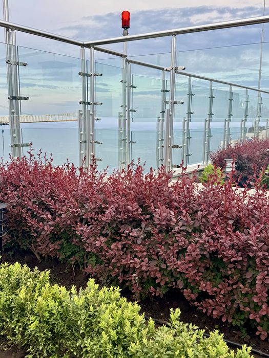 Аркадия!ЖК АТМОСФЕРА с терассой с панорамой  моря +паркинг !