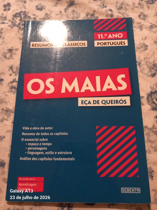 Resumos Os Maias 11 °ano com envio incluído