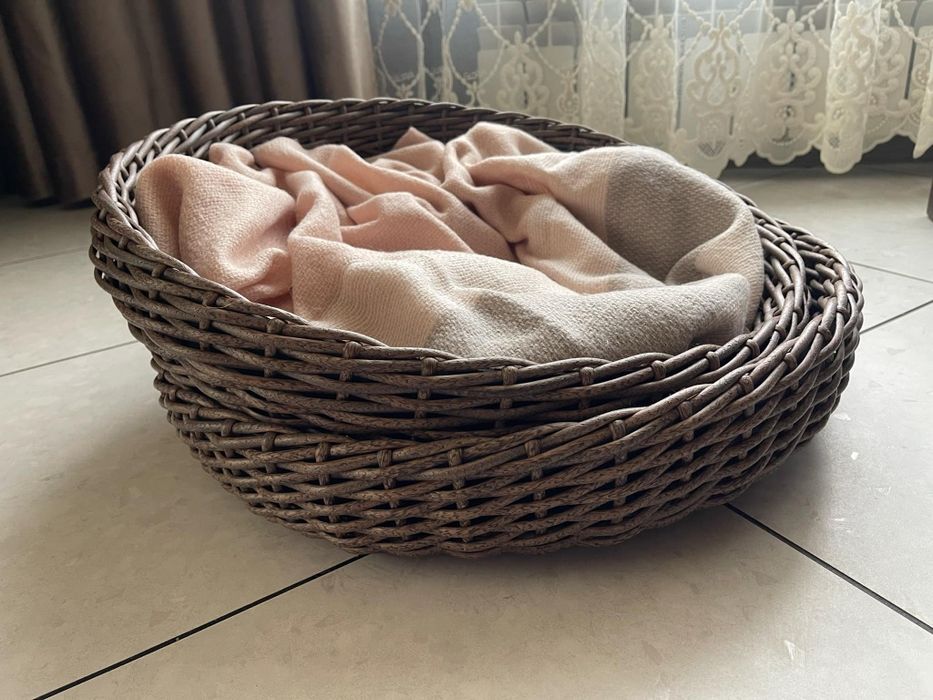 Лежанка для наших чотирилапих друзів