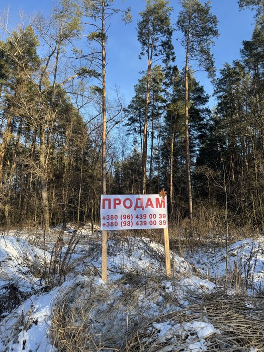 Продам ділянку с виходом до Заповідного Лісу