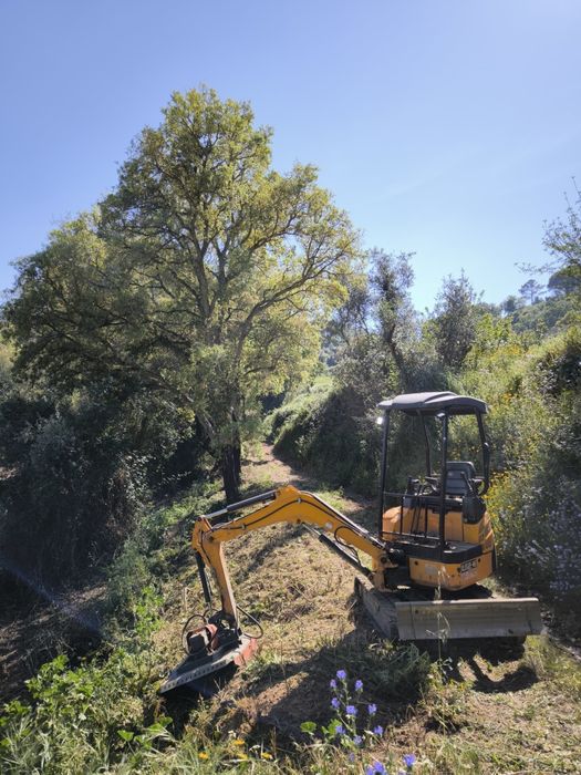 Aluguer / serviços de mini giratória e trator