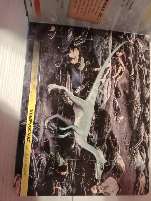 Książka + puzzle Inteligentne dinozaury