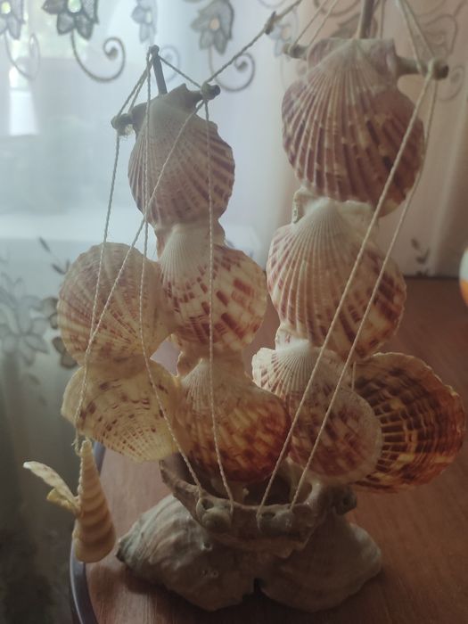 Ракушки в аквариум бу